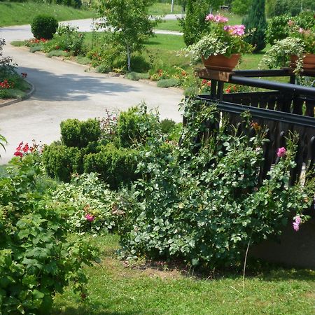 Apartments Tratincica Selište Drežničko Kültér fotó
