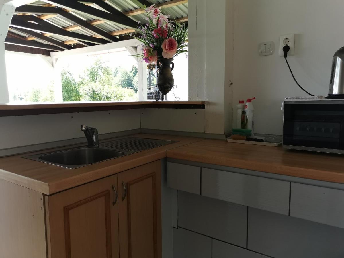 Apartments Tratincica Selište Drežničko Kültér fotó
