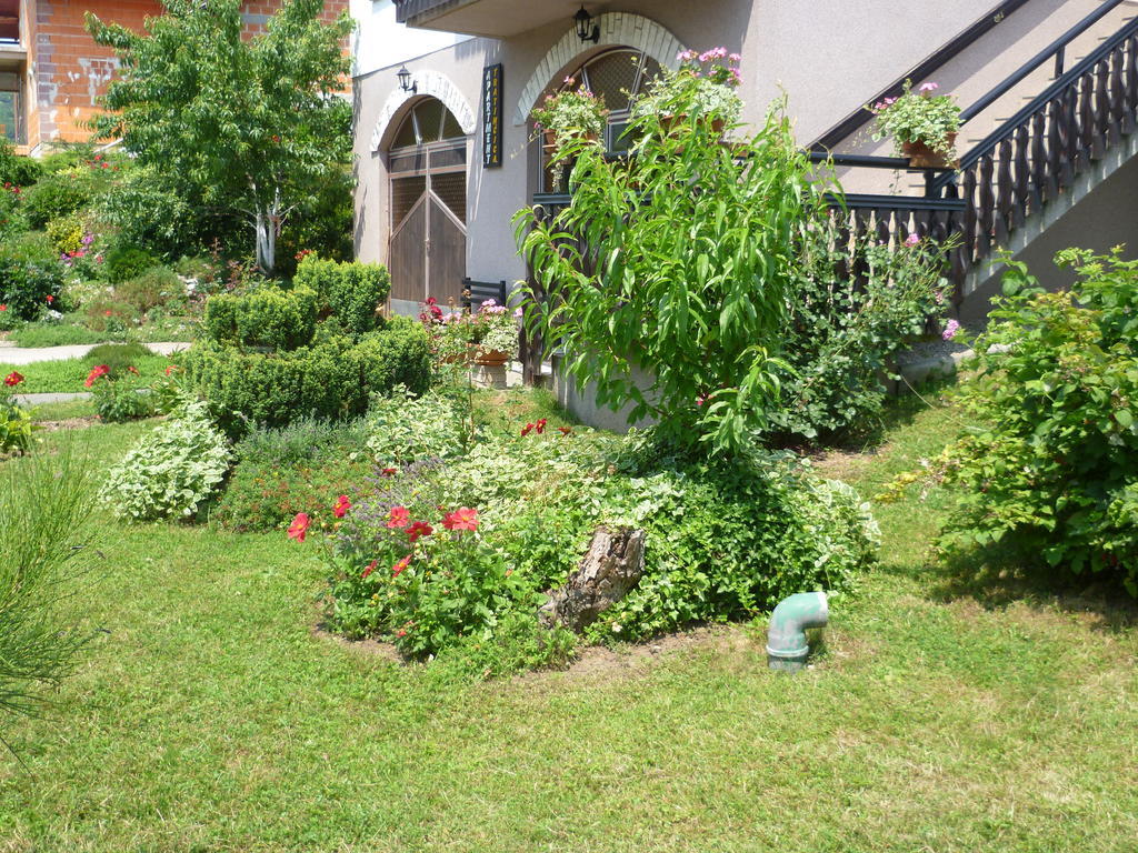 Apartments Tratincica Selište Drežničko Kültér fotó