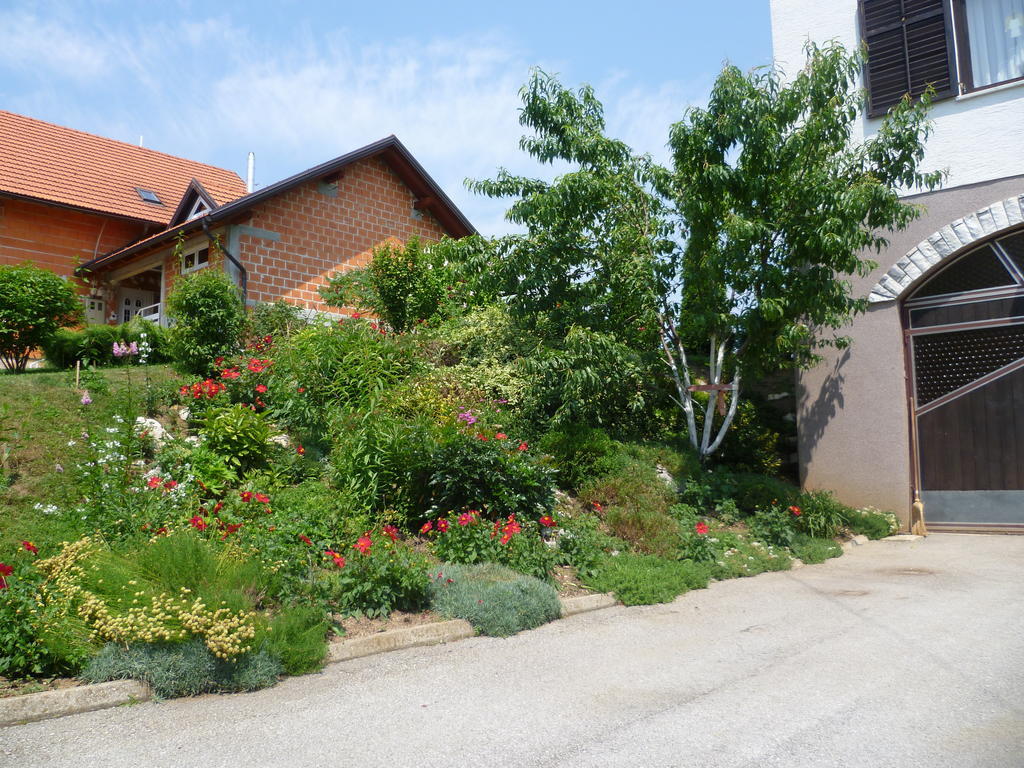 Apartments Tratincica Selište Drežničko Kültér fotó