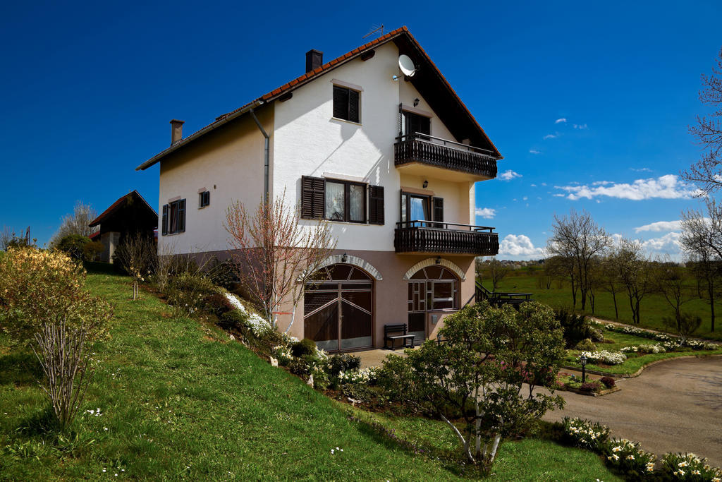 Apartments Tratincica Selište Drežničko Kültér fotó