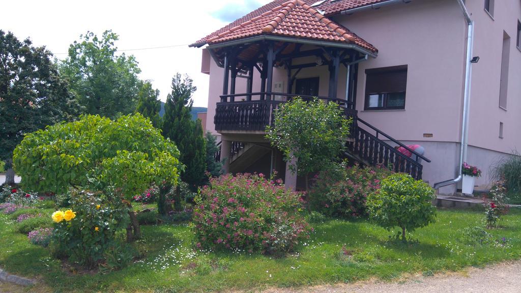 Apartments Tratincica Selište Drežničko Kültér fotó