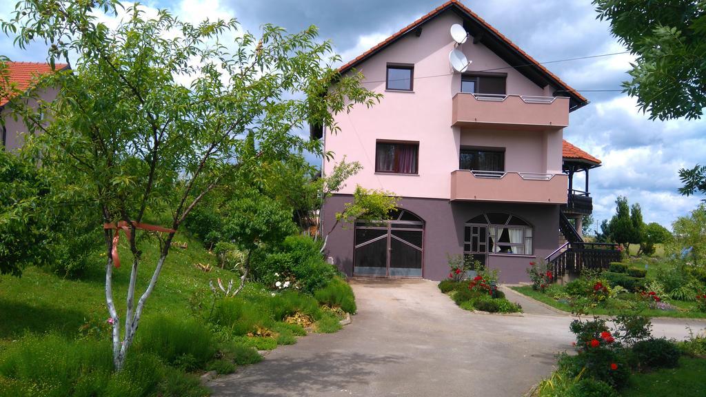 Apartments Tratincica Selište Drežničko Kültér fotó