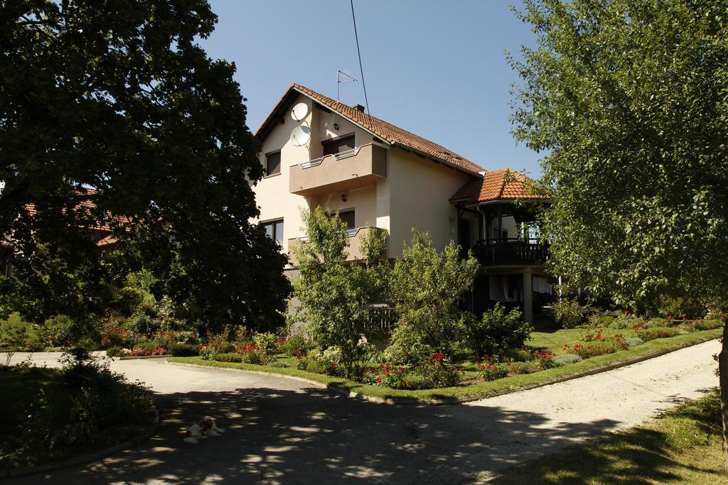 Apartments Tratincica Selište Drežničko Kültér fotó